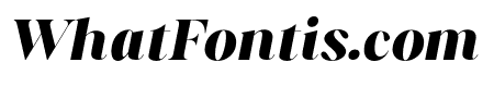 Aurestine Serif Black Italic