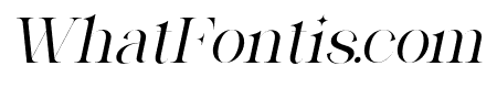 Ganer-Italic