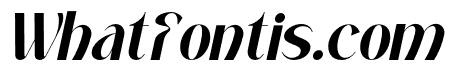 Mochira Black Italic