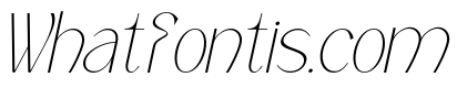Mochira Thin Italic