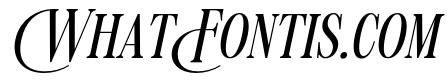Mogokya Klektore Medium Italic