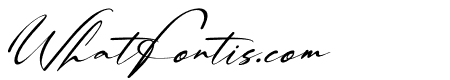 Palmintte Italic