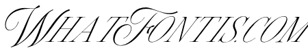 Silver Brands Italic