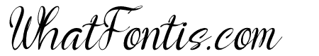 06082025 RD Script Italic