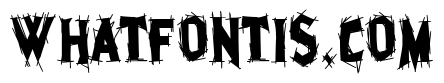 Eclectic Club