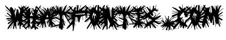 Black Metal Church