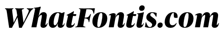Dejanire Headline Black Italic