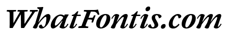 Joly Text Black Italic
