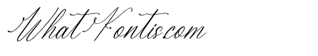 Berlanfi Sankisse DEMO VERSION Italic