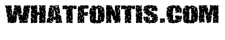 Apollonian & Dionysian