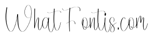 Creative Autography