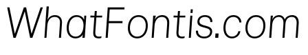 Pliant Thin Italic