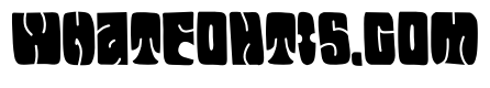 Zomte Groovy