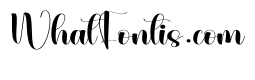 Wonderful Christmas1