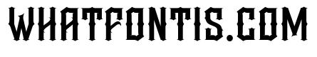 Woman Warrior