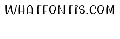 Winner Detectif