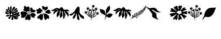 Wildflowers Boho
