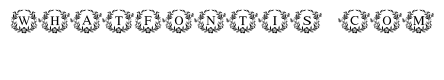 Wildflower Monogram