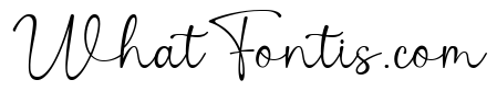 Wild flower honey Signature Reg