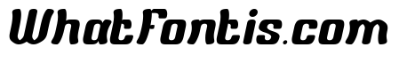 Wild Cat Italic