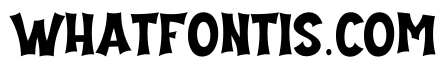 Wicked Broom1