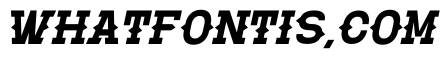 Western Whiskey Italic