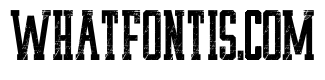 Western Sporty Texture