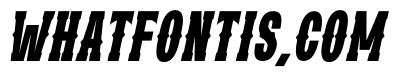 Western Saturday Italic