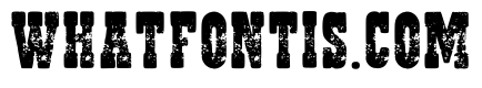Western Grunge Regular