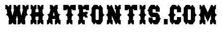 Western T