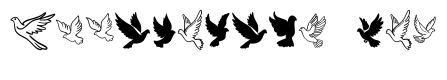 Wedding doves