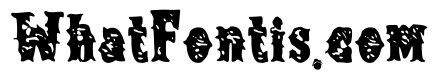 Webbing