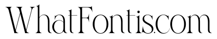 VROZA CONTE Regular