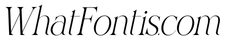 VROZA CONTE Italic