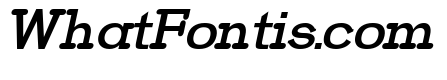 VIRENA Italic