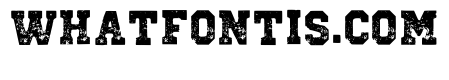 Vintage Distressed Regular