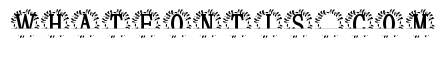 Veloriax Split Monogram