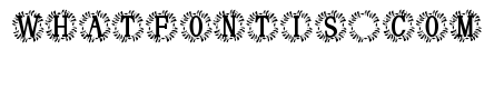 Veloriax Monogram