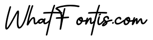 Velmora Signature Italic