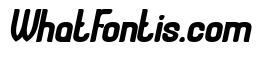 Universal Law-Bold Bold Italic