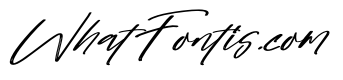 Tropicalist Italic