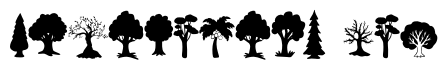 Tree of Dreams