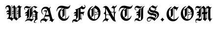 Tommie Regular