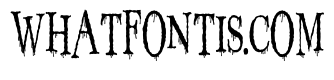 ZP Toil and Trouble Shakes Condensed