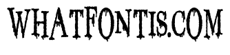 ZP Toil and Trouble Shakes Condensed Bold