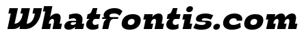 Tinkle Italic
