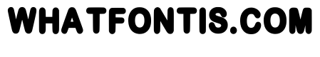 Thick Bold Regular