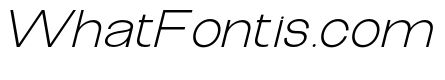 The Talk Light Expanded Italic