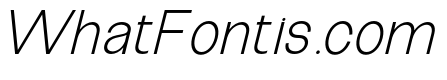 The Talk Light Italic