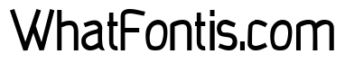 The Regular Type Bold